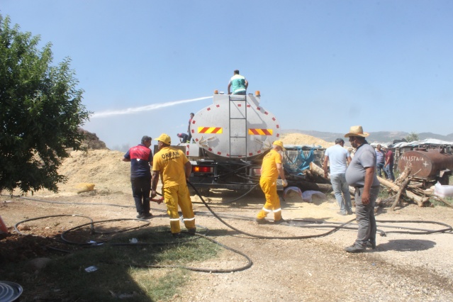 Yangında hayvanlar yaralandı, insanlar zehirlendi
