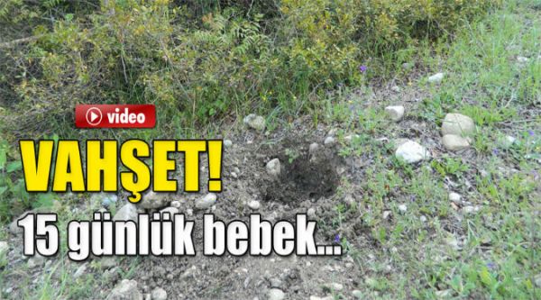 15 GÜNLÜK BEBEĞİ BÖCEKLER YEDİ..!