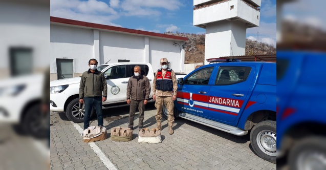 Durdurulan araçta 7 keklik ele geçirildi