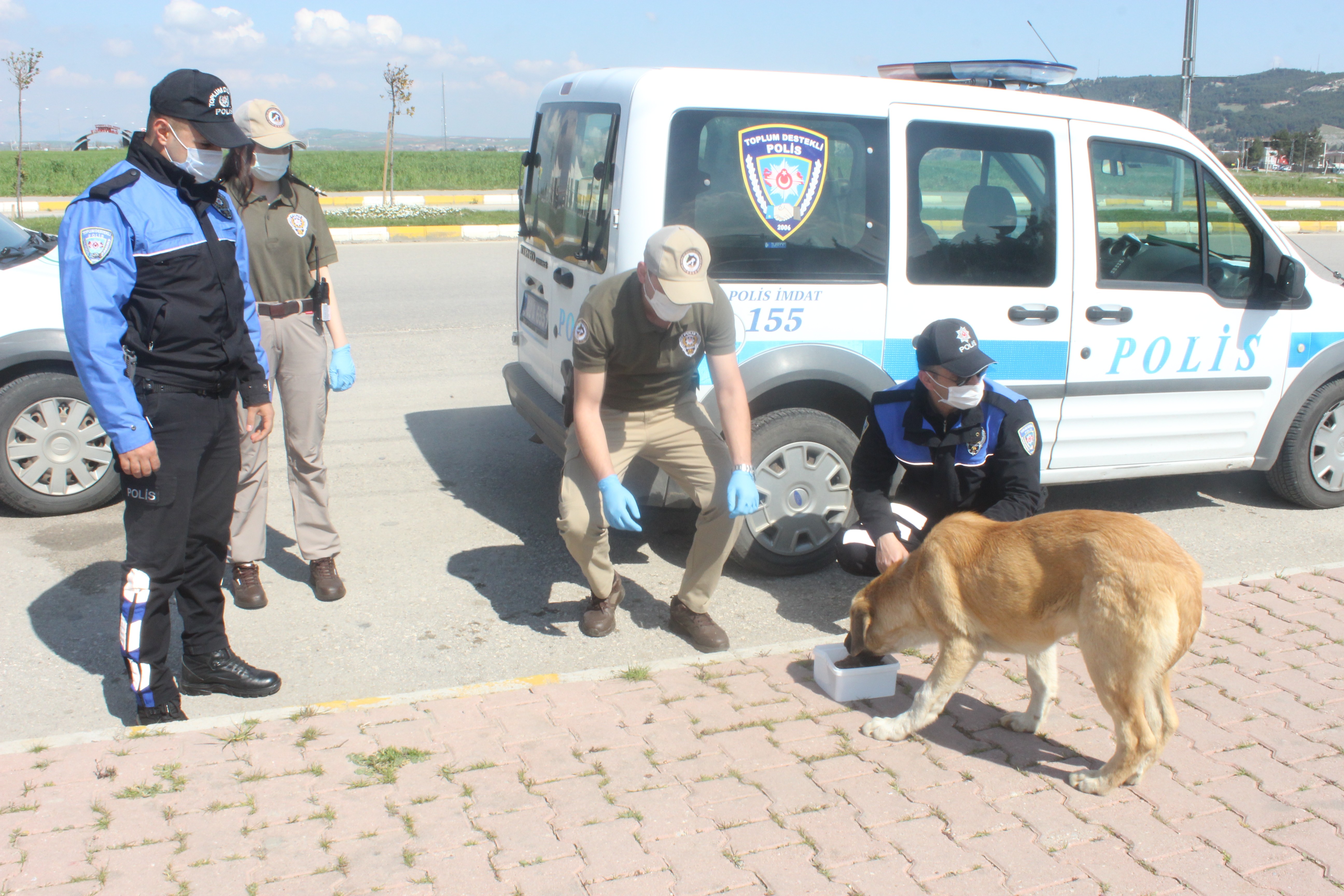 Polis ekipleri sokak hayvanlarının karnını doyurdu