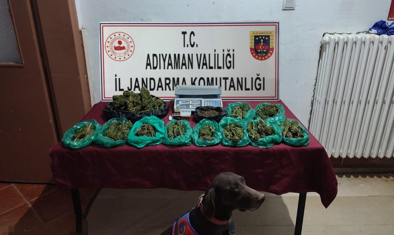 Jandarma ekiplerinden uyuşturucuya geçit yok