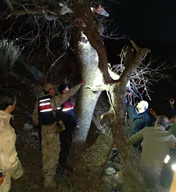Ağaçtan düşen güvenlik korucusu hayatını kaybetti