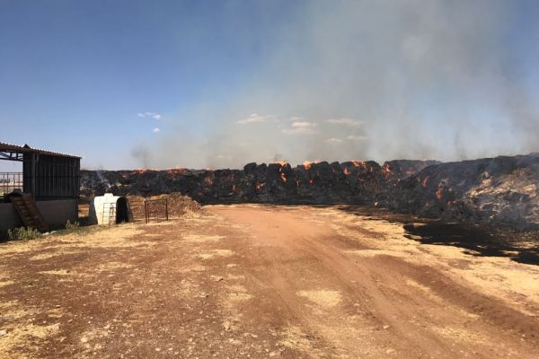 225 ton saman kül oldu