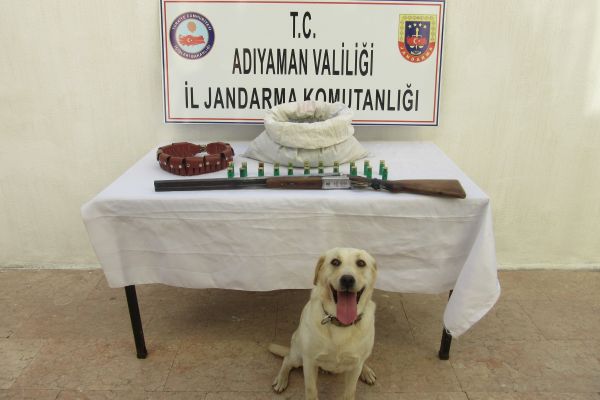2 Kilo esrar 5 bin 170 kök kenevir ele geçirildi