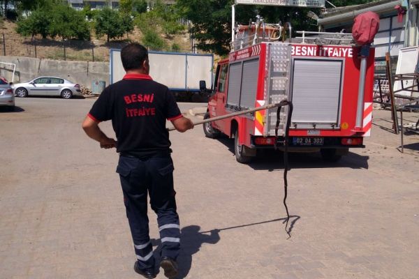 2 metrelik yılan otomobilin motoruna girdi