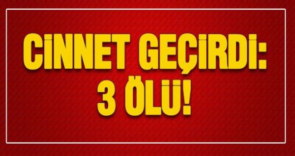 3 Kişinin öldüğü cinnetin detayları ortaya çıktı