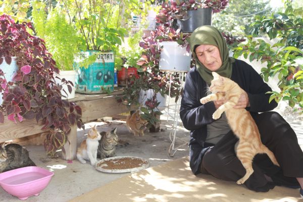 56 yıldır kedilerle yaşıyor
