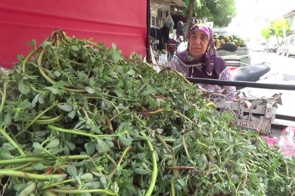 79 yaşındaki Fatma Teyze gençlere taş çıkartıyor