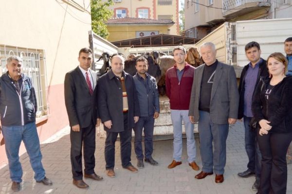 7 kişiye 280 adet küçükbaş hayvan dağıtıldı