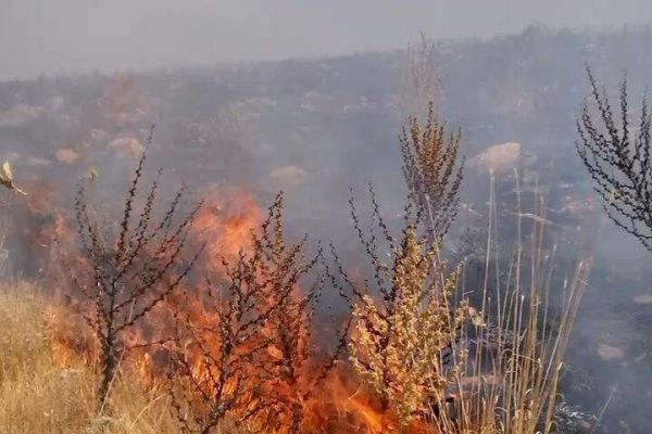 Abdullah Gül Hatıra Ormanında Yangın
