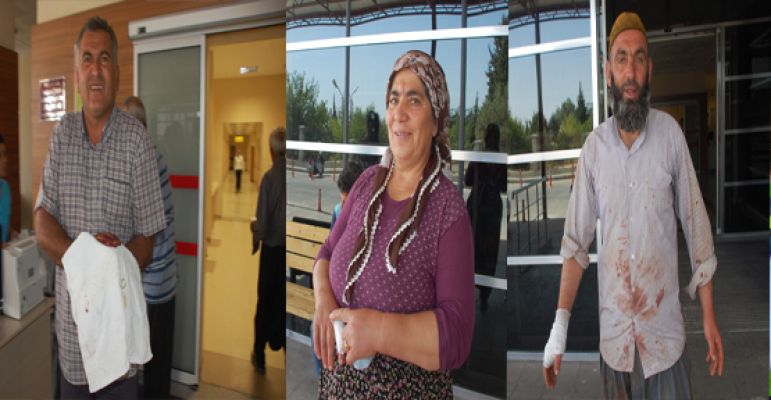 Acemi Kasaplar İş Başında