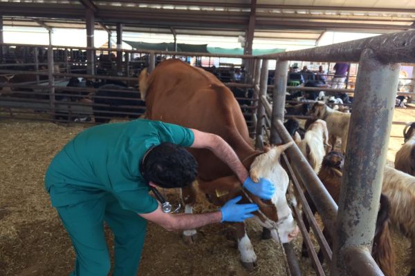 Adıyaman Belediyesinden bayram hazırlığı