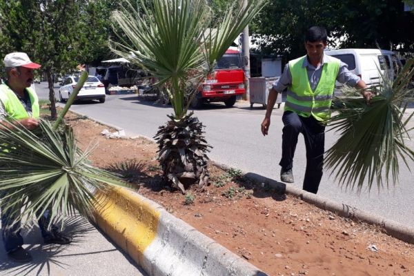 Adıyaman Belediyesinden refüj düzenlemesi