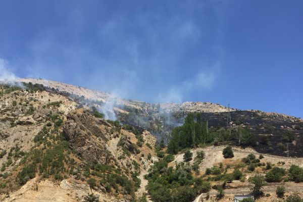Adıyaman Malatya arasında orman yangını