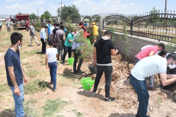 Adıyaman Üniversitesi, sağlıkçılar için fidan dikti