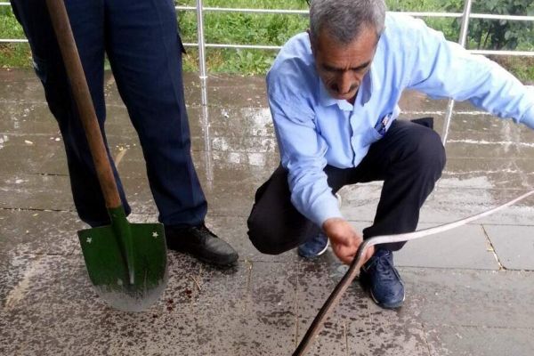 Adıyaman Üniversitesinde Yılan Paniği