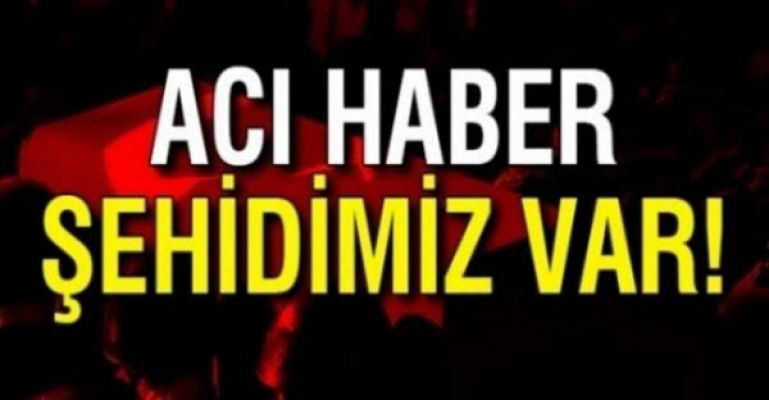 Adıyaman'a şehit ateşi düştü