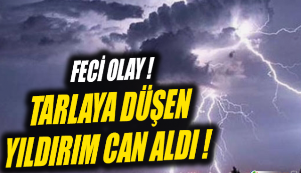 Adıyaman'a yıldırım düştü, sonu felaket oldu