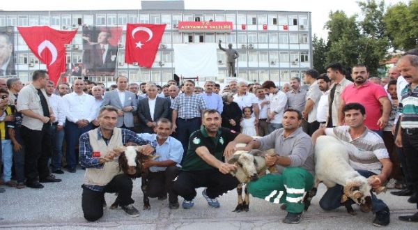 Adıyaman’da 100 adet şükür kurbanı kesildi