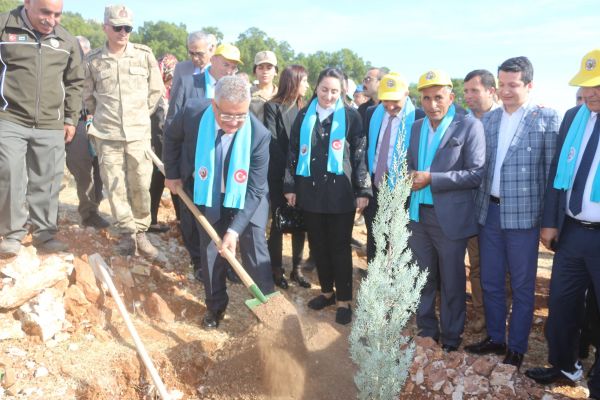Adıyaman’da, 175 bin fidan toprakla buluştu
