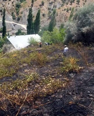 Adıyaman'da 2 Dönüm Bağ Yandı