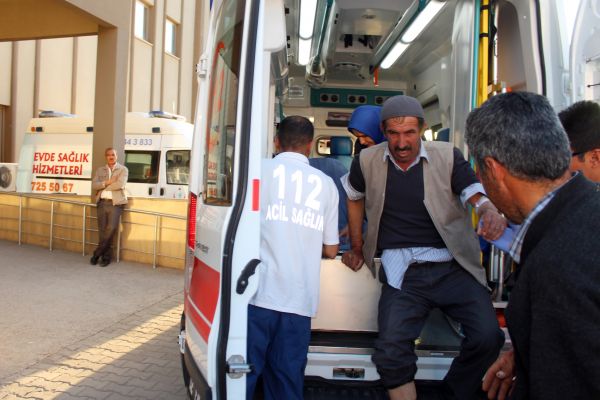 Adıyaman'da 2 Kişiyi Yılan Soktu