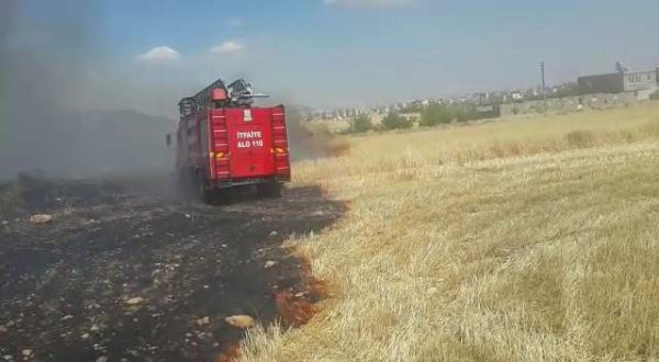 Adıyaman’da buğday yangını