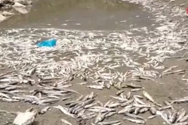 Adıyaman'da korkutan görüntü