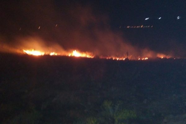 Adıyaman’da korkutan orman yangını