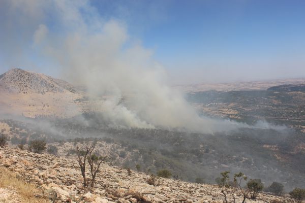 Adıyaman’da korkutan orman yangını