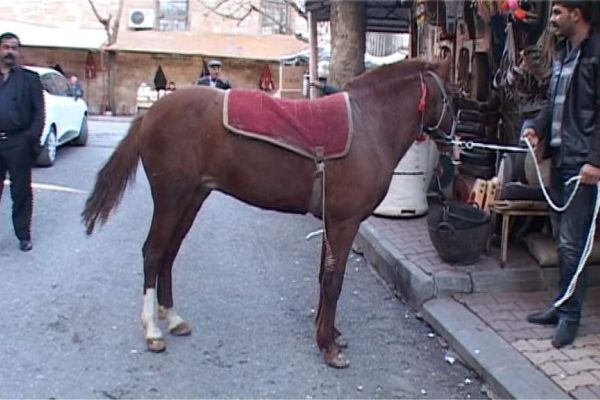 Adıyaman’da, Nalbant Mesleği Tarihe Karışıyor