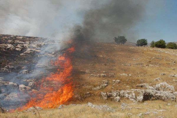 Adıyaman’da orman yangını büyüyor
