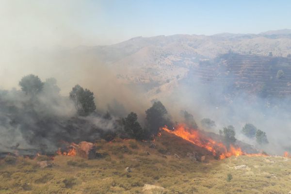 Adıyaman’da orman yangını