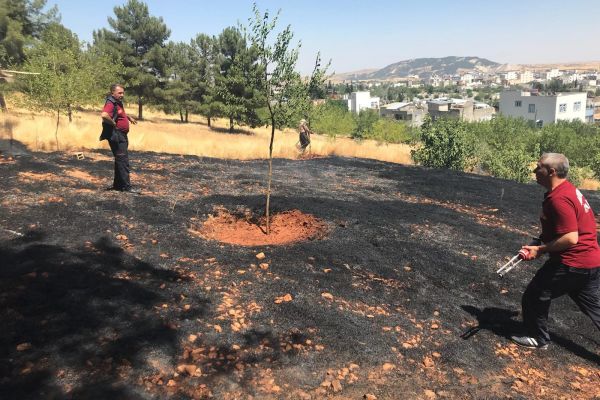 Adıyaman’da orman yangını
