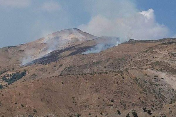 Adıyaman'da Orman Yangını
