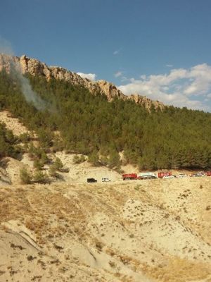 Adıyaman’da orman yangını