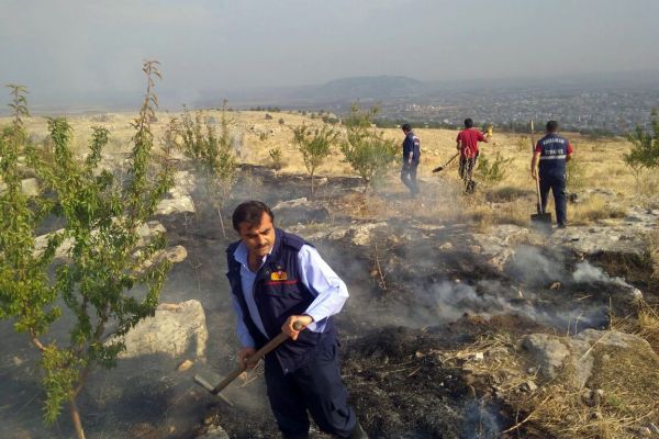 Adıyaman'da, orman yangını