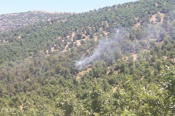 Adıyaman’da orman yangını
