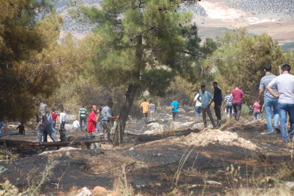 Adıyaman’da, orman yangını kontrol altına alındı