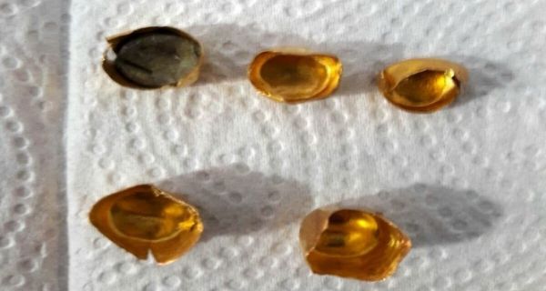 Adıyaman’da sahte altın dolandırıcılık şebekesi çökertildi