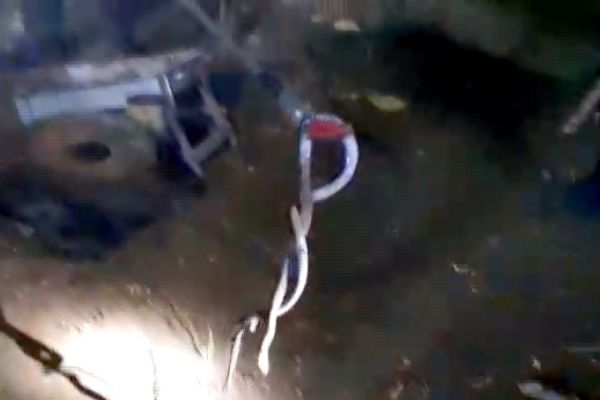 Adıyaman’da yılan avı