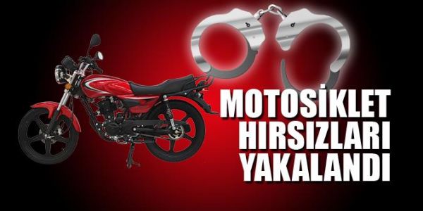 Adıyaman'daki hırsızları Şanlıurfa polisleri yakaladı
