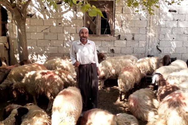 Adıyamanlı çobandan Cumhurbaşkanına çağrı