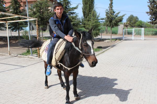 Adıyamanlı Öğrenci TEOG Kursuna 'At'la Gidiyor