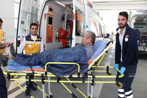 Ağaç budarken kolunu kesti