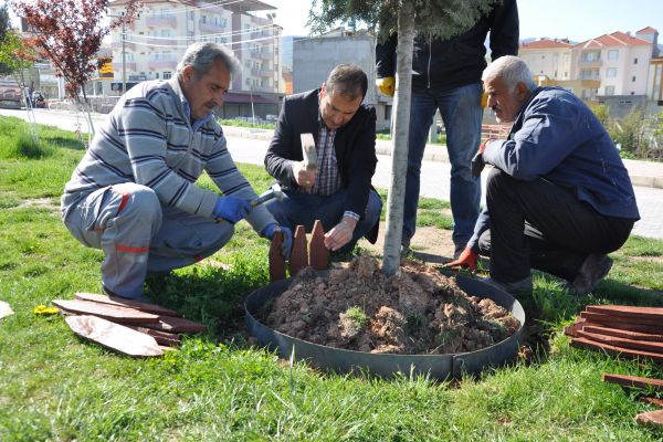 AĞAÇLAR VE REFÜJLER BAHARA HAZIRLANIYOR