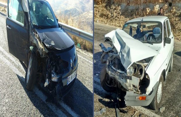 Alevi Dedesinin İçerisinde Bulunduğu Otomobil Kaza Yaptı; 2 Yaralı