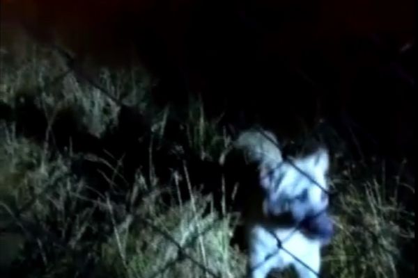 Alevler arasında kalan köpeği itfaiye ekipleri kurtardı