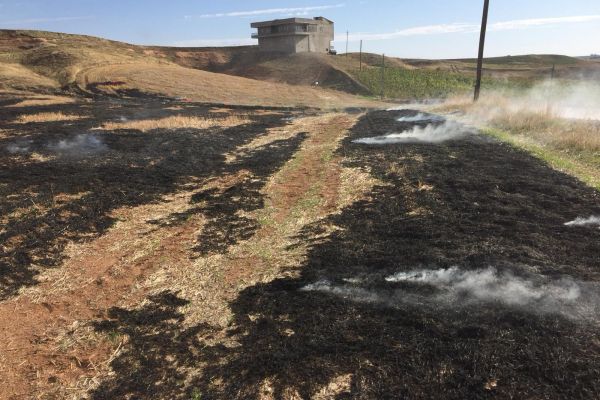 Anız yakan iki şahıs hakkında işlem yapıldı