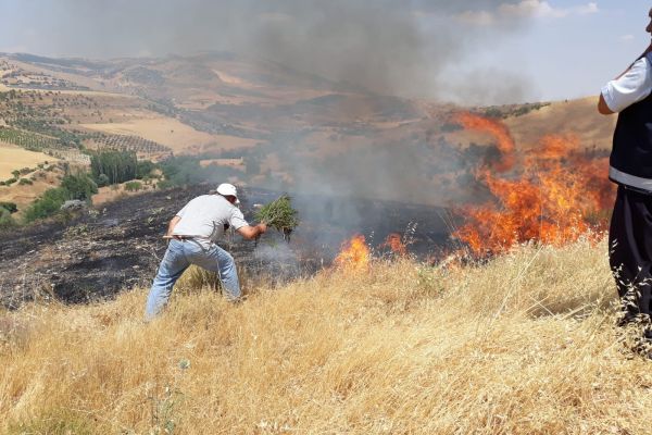 Anız yangını bağa sıçramadan söndürüldü
